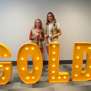 The Gold Award 2024